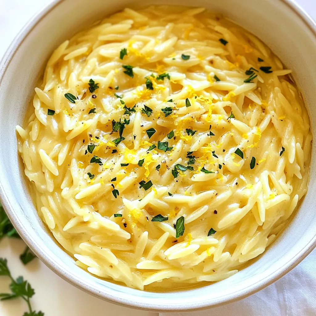 Creamy Lemon Garlic Orzo Quick and Flavorful Dish